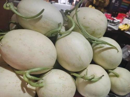 今日海南玉菇瓜价格行情,今日市场动态一览