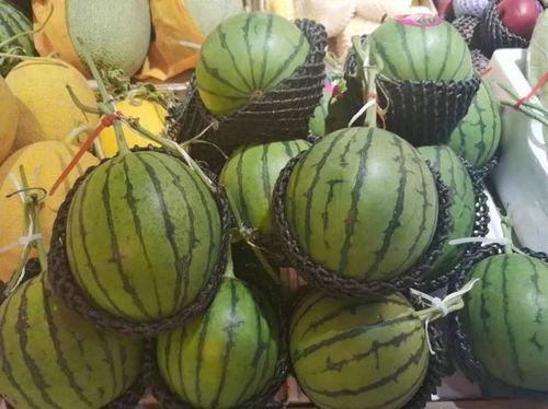 今日海南玉菇瓜价格行情,今日市场动态一览