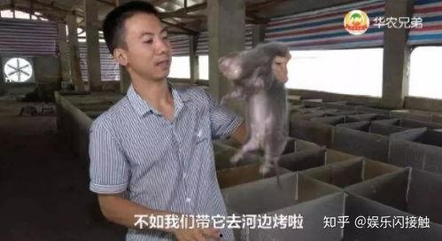 吃瓜今日看料最新一期视频,揭秘本期热门事件幕后真相