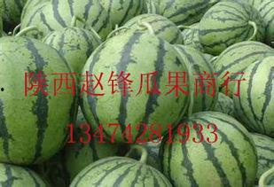 成都今日哈密瓜行情报价,价格波动与市场动态一览