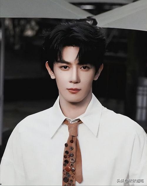 安徽合肥明星网红是谁,揭秘合肥明星网红的璀璨魅力”