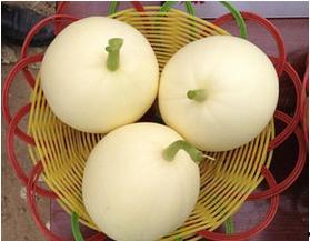 陕西今日瓜价,新鲜上市，价格行情一览