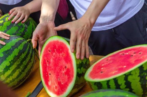 51热门吃瓜今日吃瓜入口,今日吃瓜入口，揭秘娱乐圈最新热点