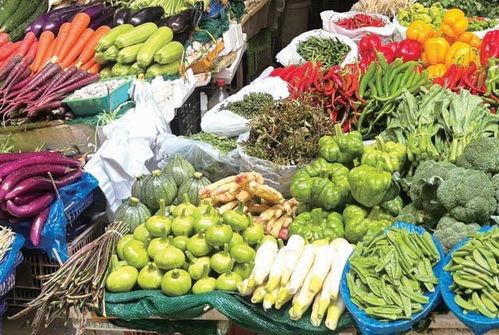 昆明市今日小瓜价格多少,市场行情一览”