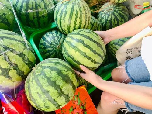 成都今日的瓜,揭秘网红美食背后的秘密