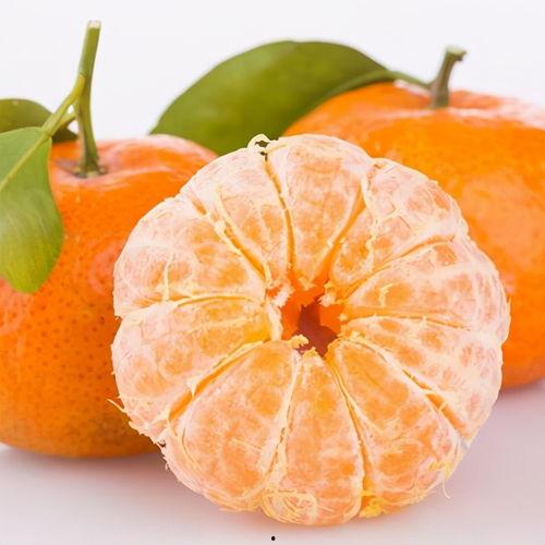 今日吊瓜行情价格表图片,价格波动与市场动态一览