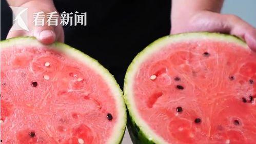 今日瓜菜价格多少钱一斤,行情波动，一斤几何？