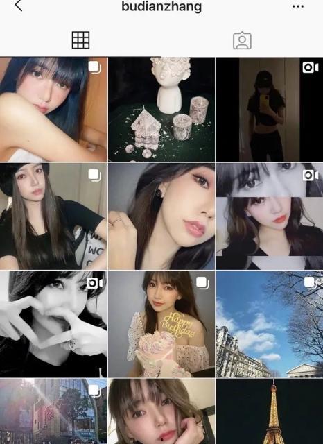 全网明星网红合集视频大全,璀璨星光下的网络盛宴