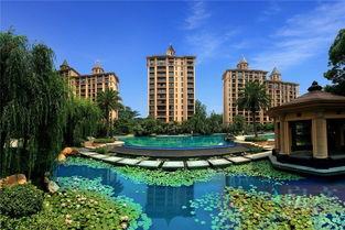 星河湾的明星网红,网红打卡地，明星效应下的璀璨生活圈