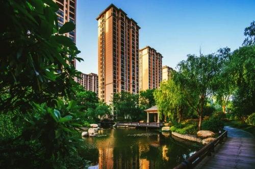 星河湾的明星网红,网红打卡地，明星效应下的璀璨生活圈