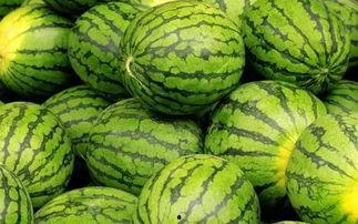 今日十瓜,探寻今日瓜界新潮流