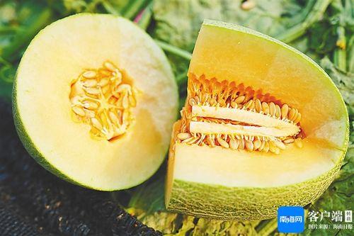 海南皇品蜜瓜今日价格,价格实惠，尽享夏日甜蜜时光