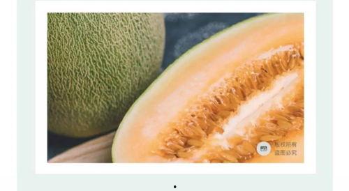 海南皇品蜜瓜今日价格,价格实惠，尽享夏日甜蜜时光