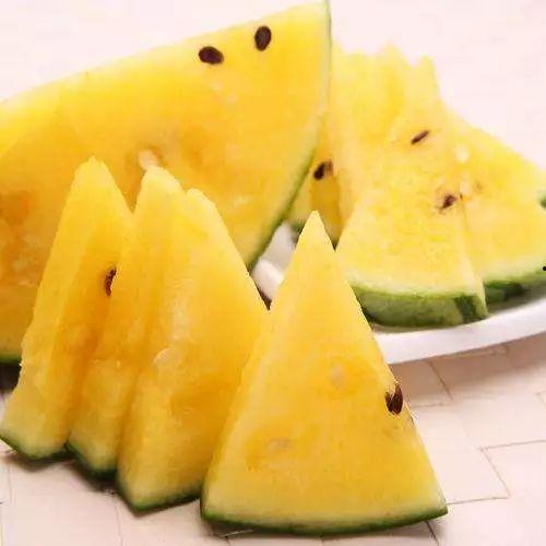 91黑科吃瓜官网入口,带你走进神秘的网络世界