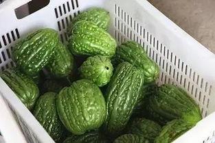 吃瓜网今日看料