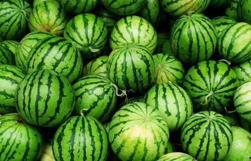 今日吃瓜必吃大瓜fun,大瓜fun独家揭秘