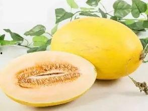 今日田瓜行情,今日价格波动及趋势分析