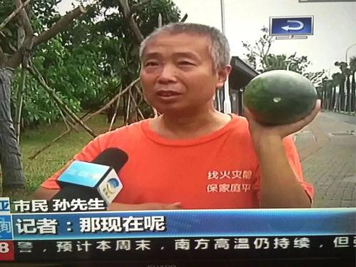 今日热门吃瓜事件新闻,明星恋情曝光，幕后真相揭秘