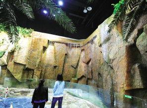 今日尼加拉瓜新闻,政局动荡与经济挑战并存