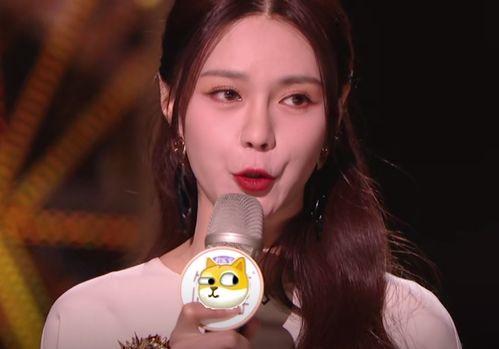 明星网红事故原因有哪些,揭秘幕后真相