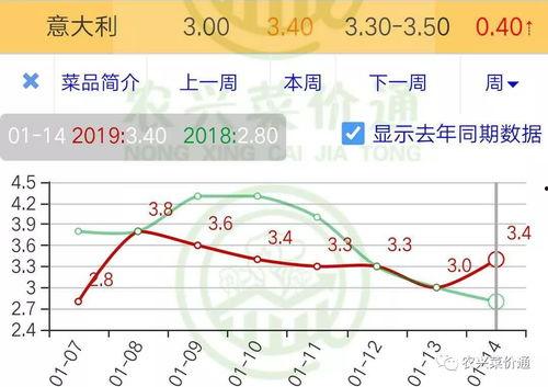 小瓜行情今日行情,今日市场动态一览”