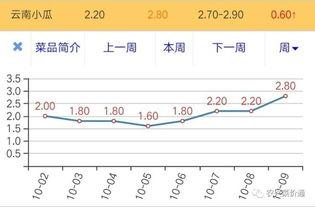 小瓜行情今日行情,今日市场动态一览”