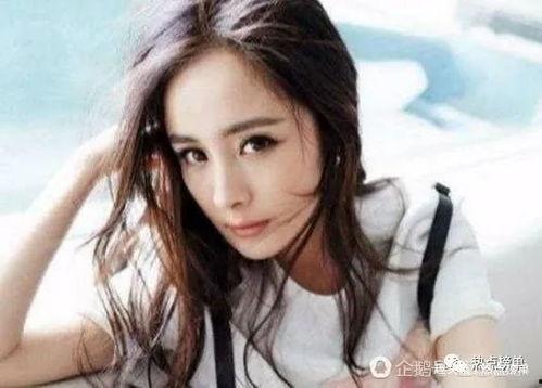 社会明星网红排名榜,璀璨星光，谁主沉浮？