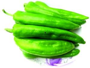 瓜州今日蔬菜价格,新鲜直供，实惠之选