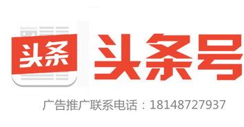 北京瓜洲今日头条新闻,聚焦城市发展新动态，探寻历史与现代交融之美