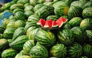 玲珑瓜今日价格,市场波动下的新鲜动态解析”