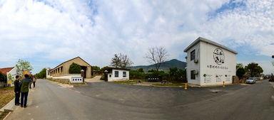 合肥三瓜公社今日新闻,乡村振兴新典范，绿色发展成果丰硕