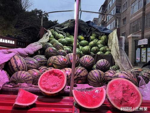 今日兰州蕃瓜价格多少,市场行情一览”