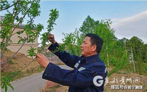 威宁明星网红是谁