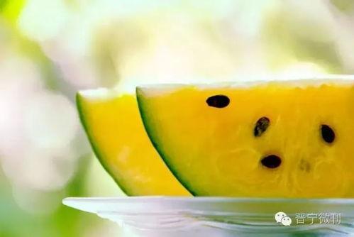 玉溪今日小瓜价格