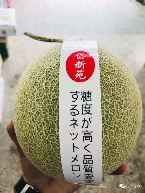 玉溪今日小瓜价格