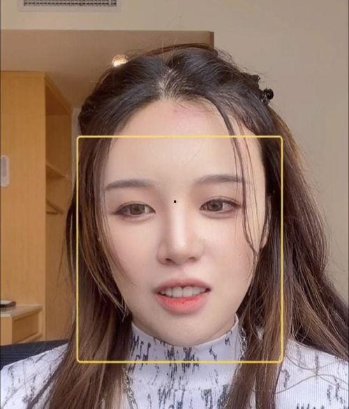 网红明星网络暴力是谁,揭秘网红明星网络暴力幕后黑手