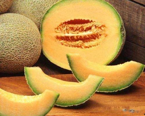 今日的哈密瓜价格查询,今日哈密瓜价格行情一览