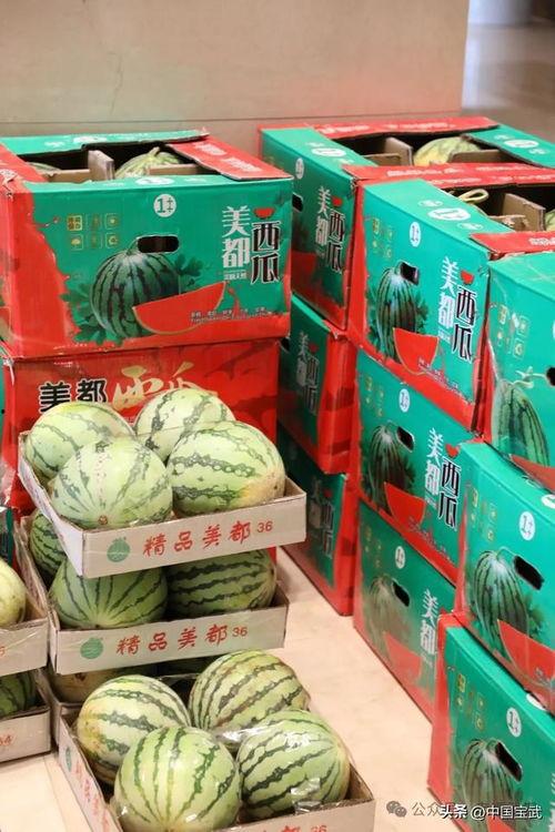 广州今日吃瓜事件,揭秘网络热议背后的真相