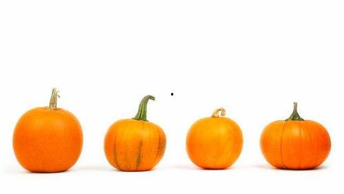 广州今日吃瓜事件,揭秘网络热议背后的真相