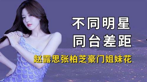 中国明星网红对比图文案