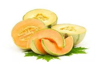 荆州哈密瓜今日价格,品质佳品，实惠之选