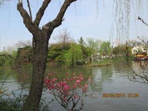 今日瓜洲一水间下一句,千古风流人物