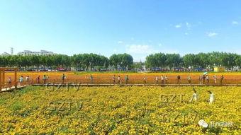 瓜州三道沟今日新闻,今日新闻聚焦乡村振兴新篇章