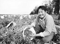 瓜州三道沟今日新闻,今日新闻聚焦乡村振兴新篇章