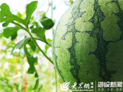 五一今日吃瓜在线观看