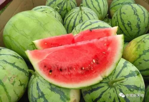 今日吃瓜最新图片,揭秘娱乐圈最新热点事件