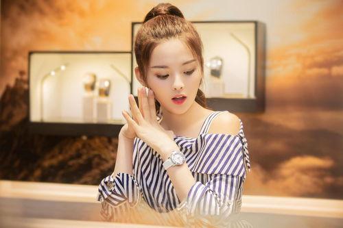 明星网红多少去过太康,明星网红打卡次数揭秘