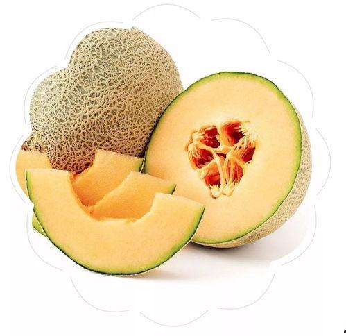 幼儿园今日食谱哈密瓜,幼儿园今日哈密瓜美食分享