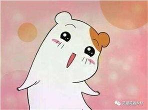 今日吃瓜往期福利,吃瓜群众们的快乐源泉