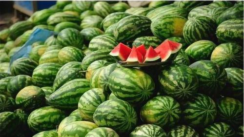 连云港今日鲜瓜价格查询,新鲜上市，价格实惠”